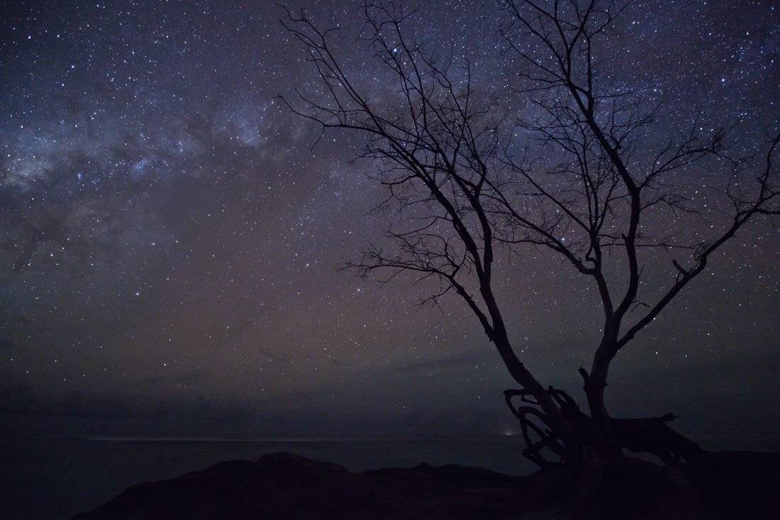 млечный путь. сейшелы, остров, Людмила Прокофьева