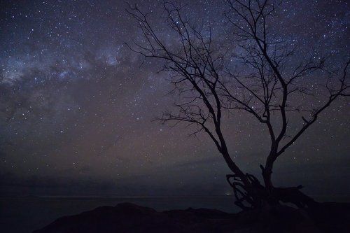 Млечный путь Южного полушария