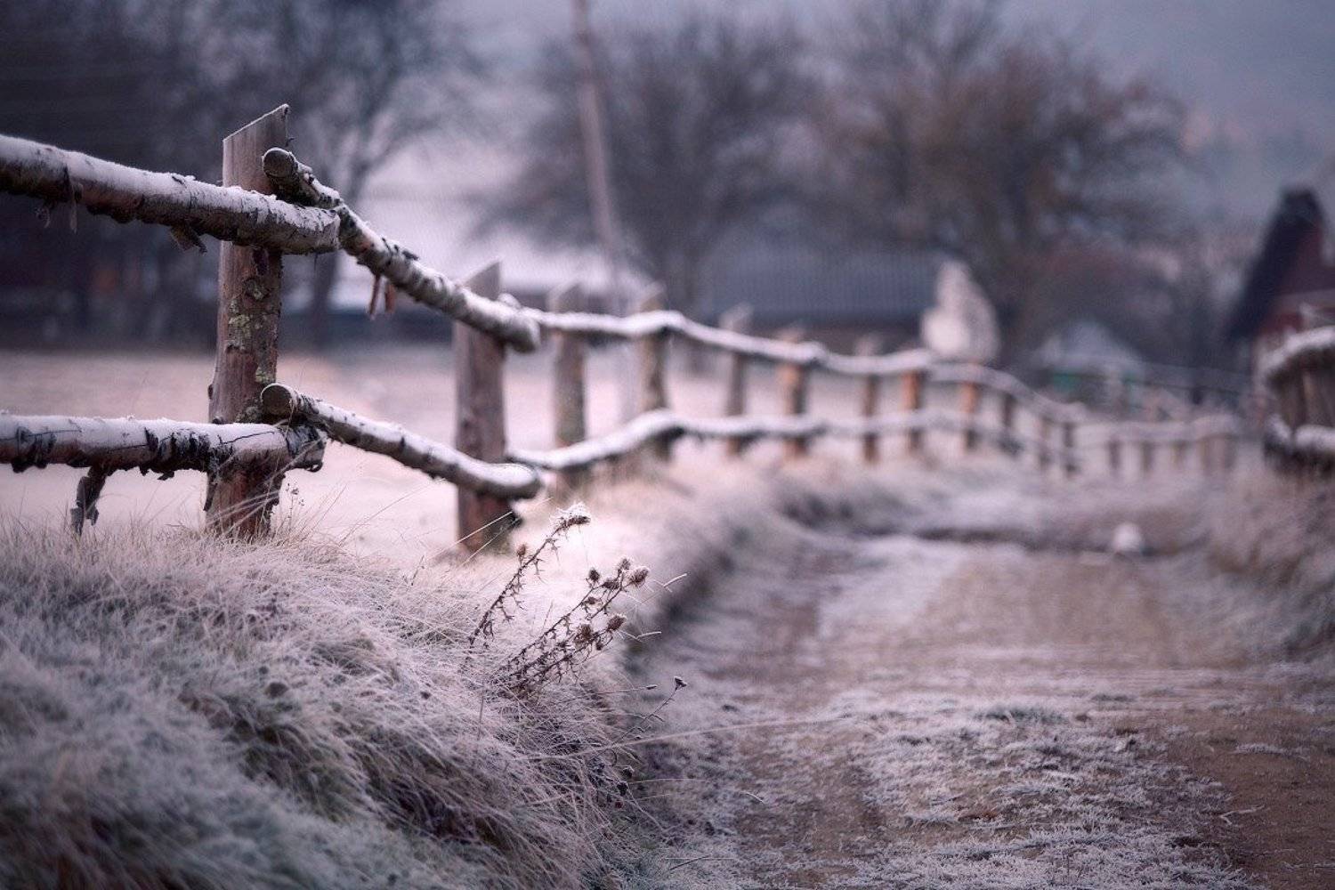 карпаты, осень, утро, иней, Вейзе Максим