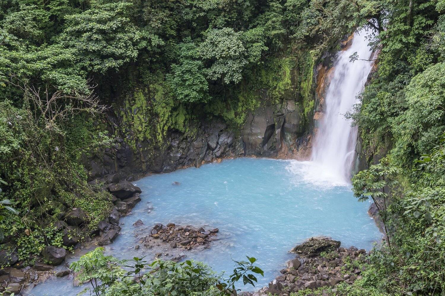 , Fernando Burgalin Sequeira