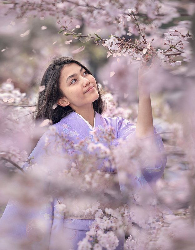 САКУРА фото превью