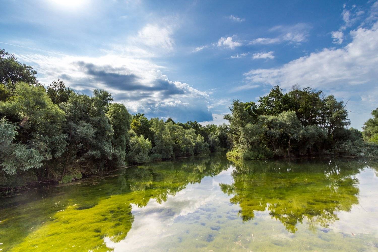 lake, water, forest, reflection, landscape, sky, nature, Nikolay Tatarchuk