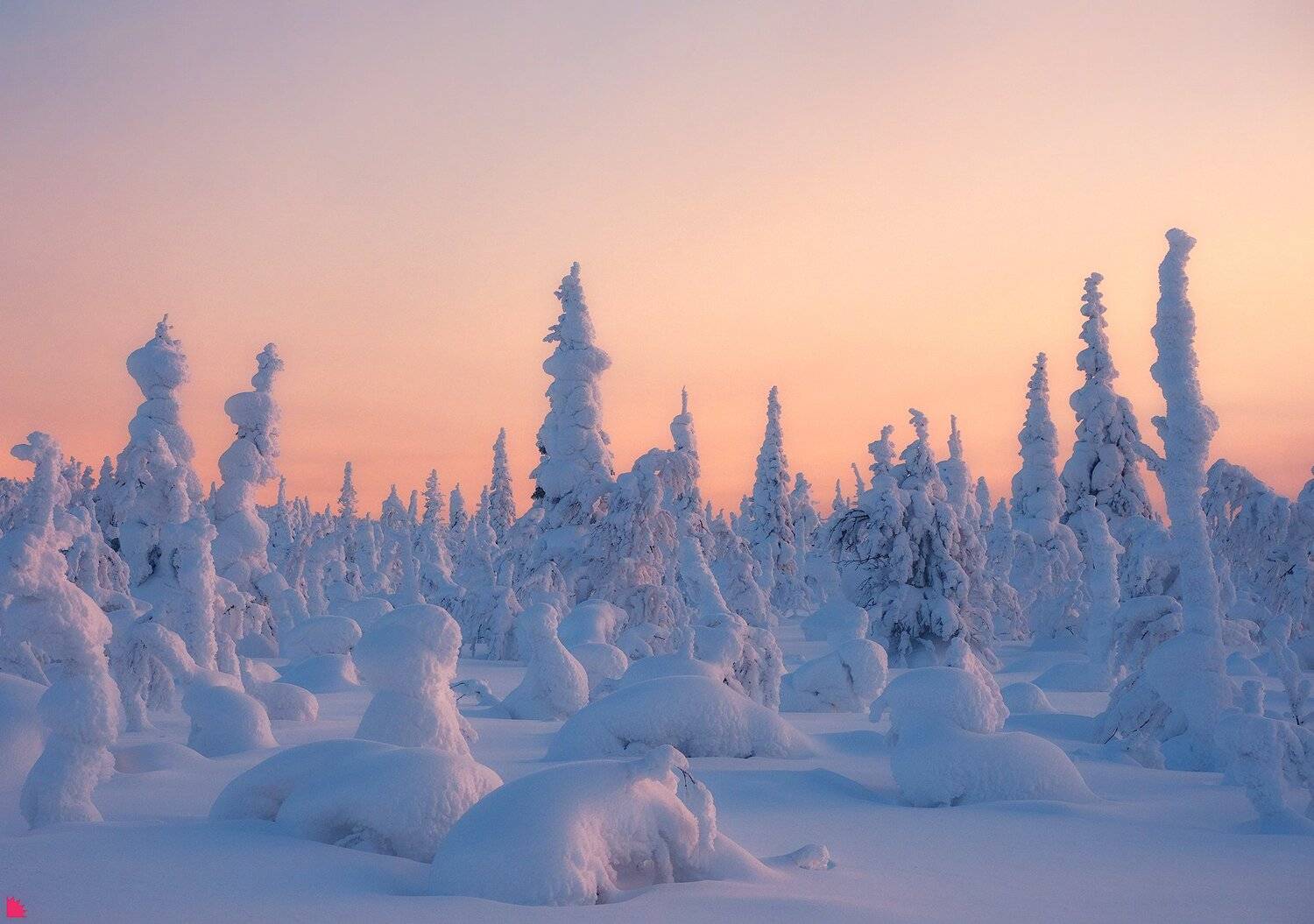 , Осипов Ёжъ Александр