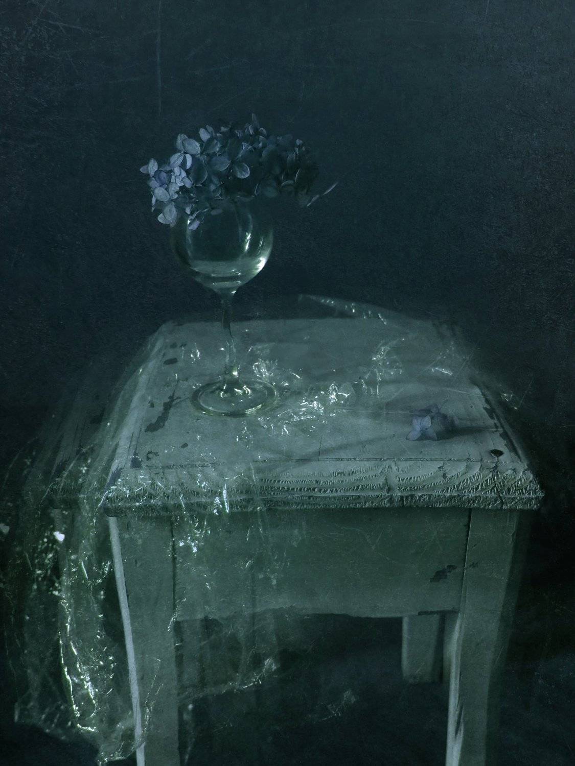 , Елена Лысенко