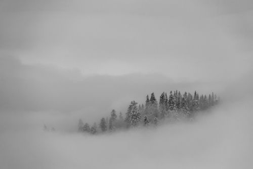 Winter in the Vladeasa Mountains. 