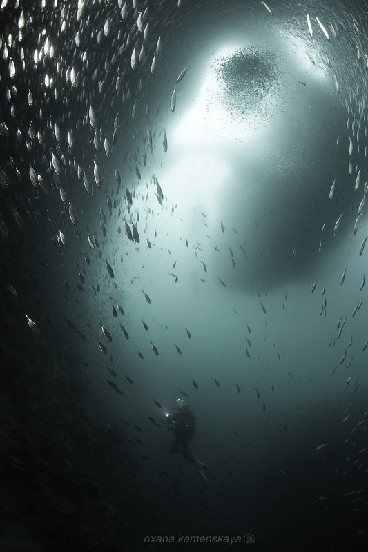 Круговорот фото превью