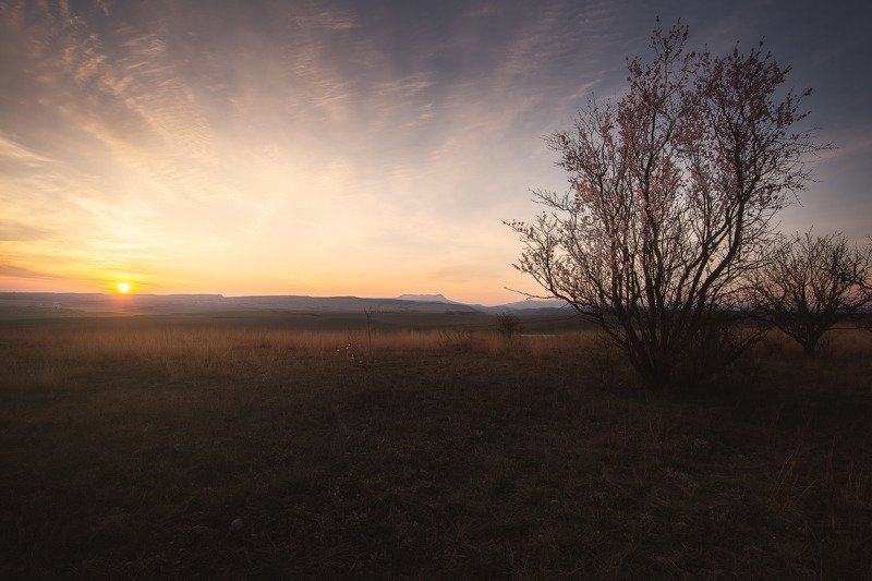 Весна, рассвет, всё оживает... фото превью