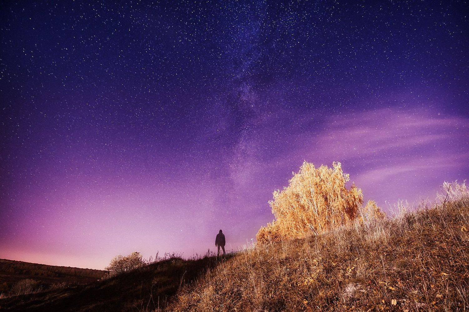 , Каревский Дмитрий