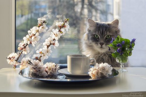 С добрым утром!