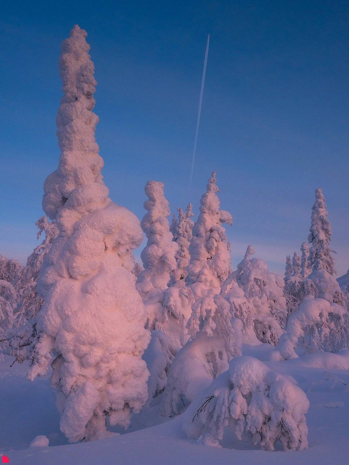 , Осипов Ёжъ Александр