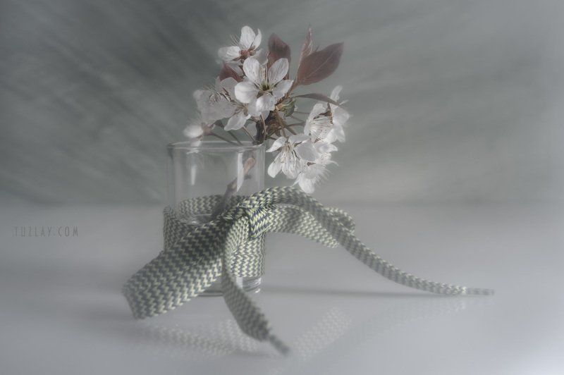 Продолжение про весну в стакане фото превью