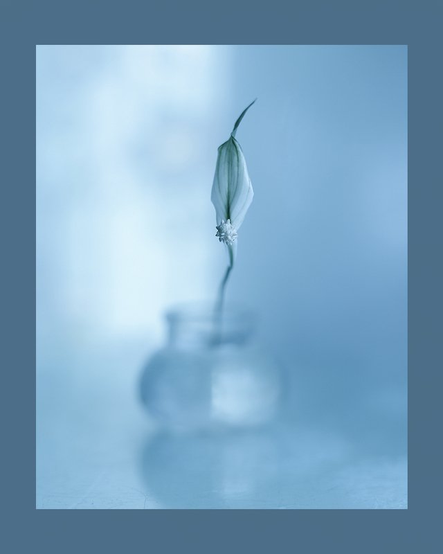 ... фото превью