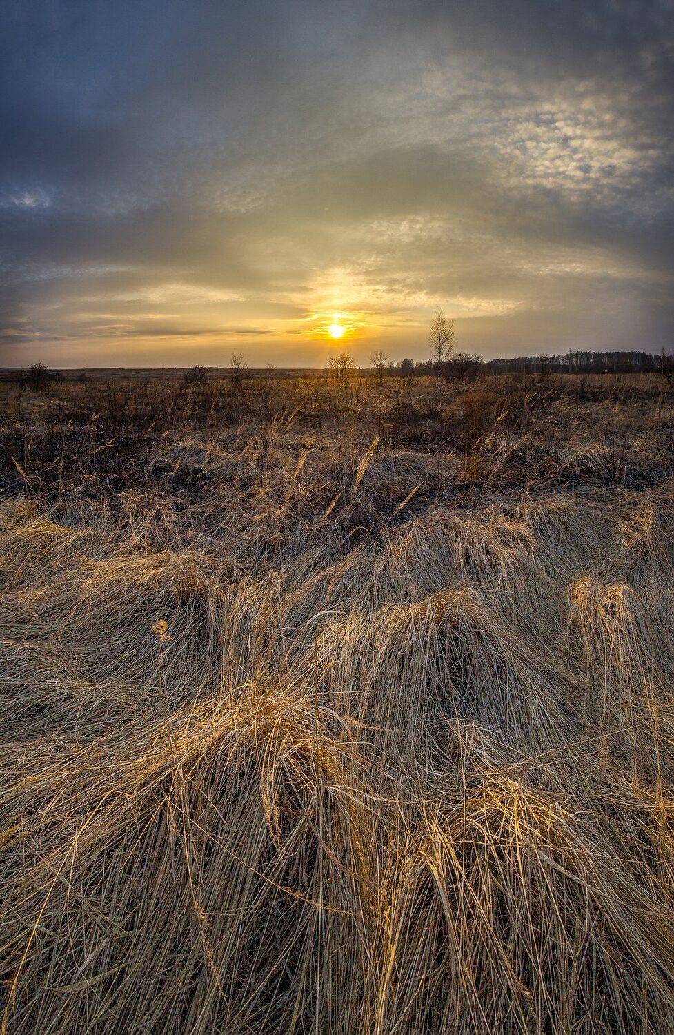 , Виталий Стрельцов