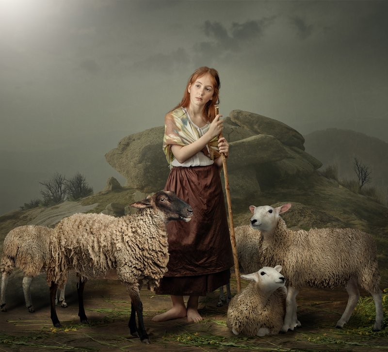 Young girl herding sheep фото превью