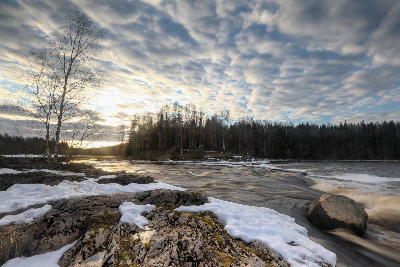 , Андрей Ершов