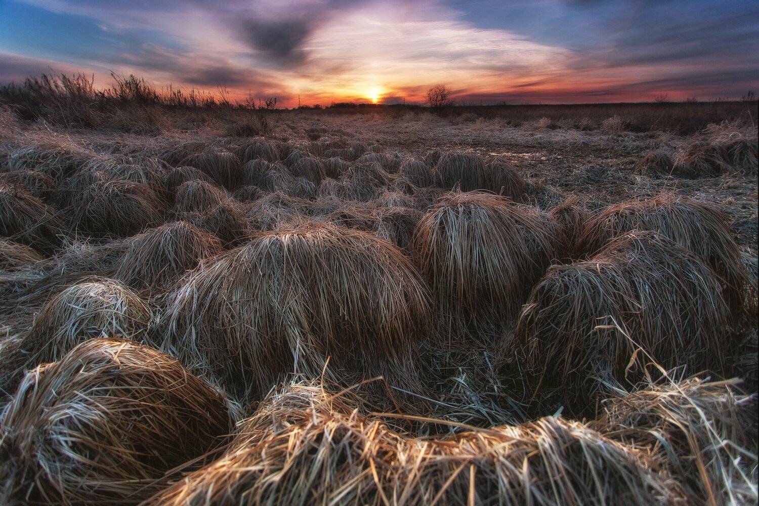 , Павел Сагайдак