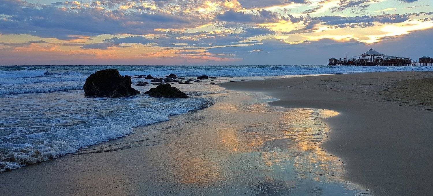 , Игорь Дубровский