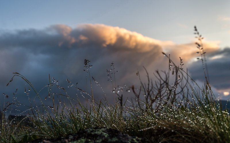 горы, сибирь, саяны, западный саян, ергаки, закат, тайга, ник васильев, облако, роса Закатные росы фото превью