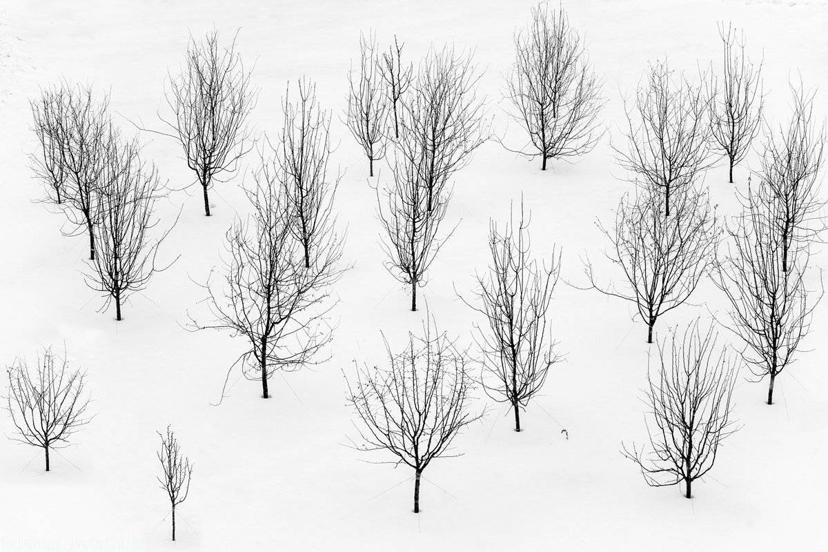 , АлександрТутаев