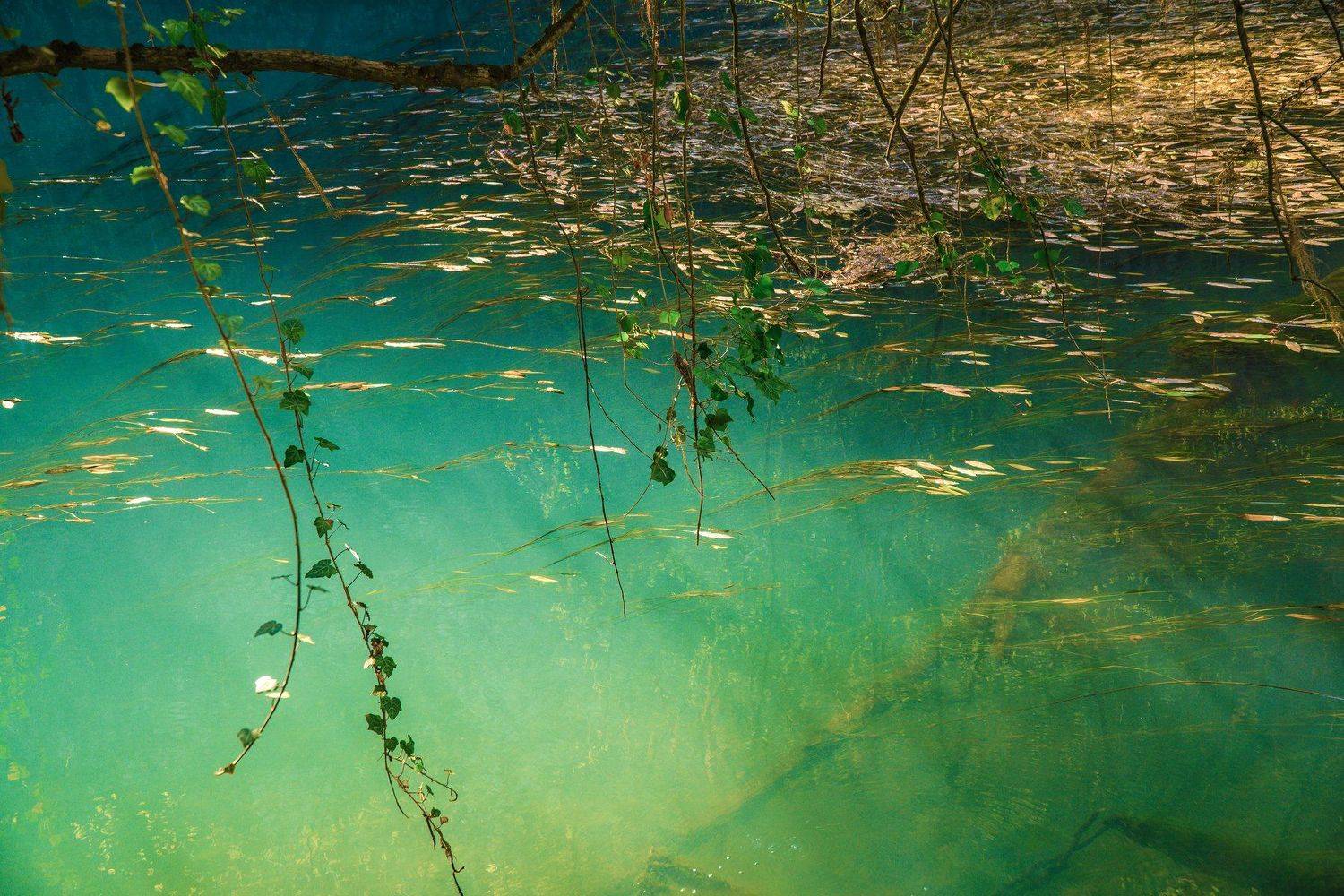 sony a6000, Tihomir Petkov