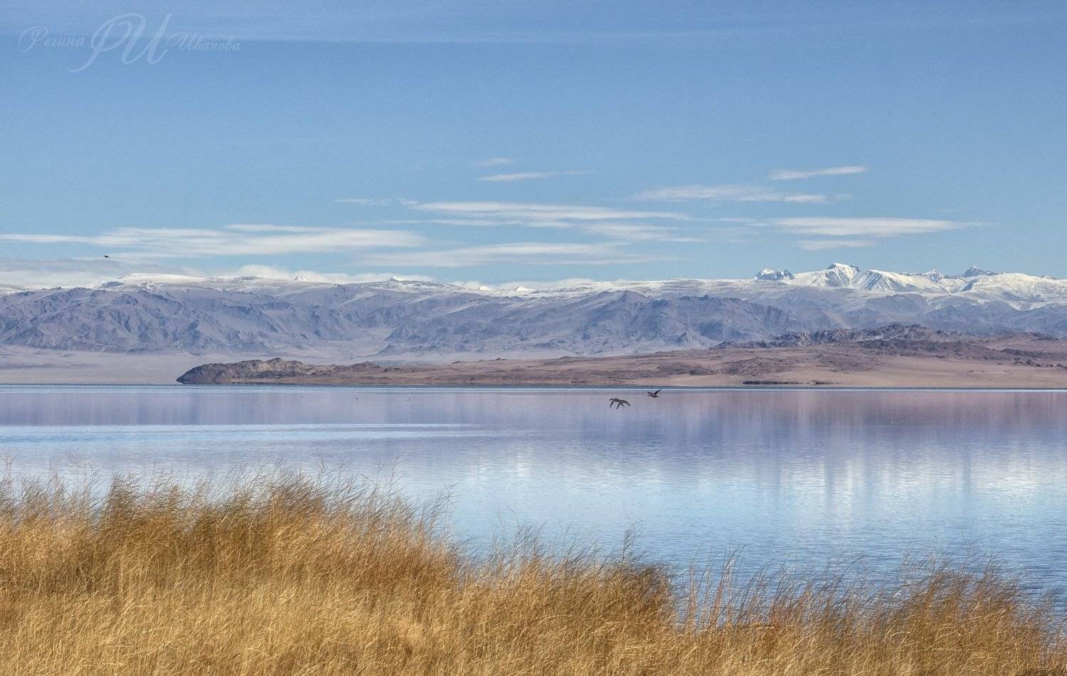 , Иванова Регина