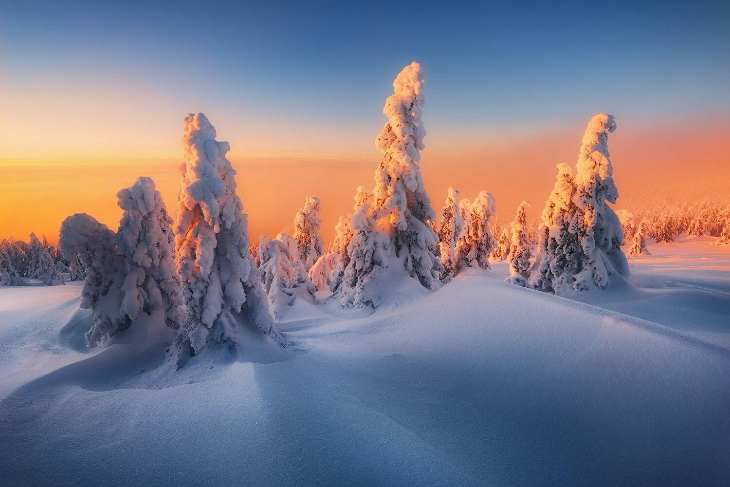 , Szabo Zsolt Andras