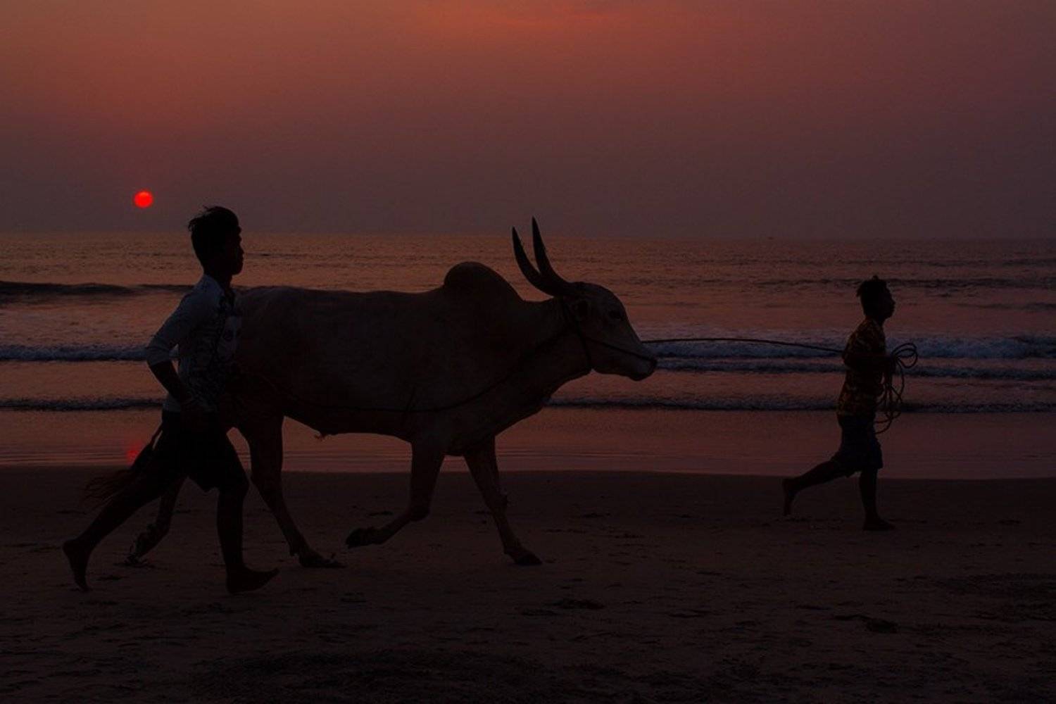 индия, жанр, жанровый портрет, стрит, india, street, genre, travel, estet mf, saratov, саратов, гоа, goa, Faletkin Mikhail