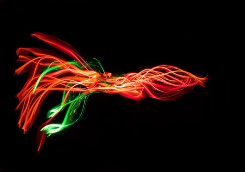 Light Squid.
