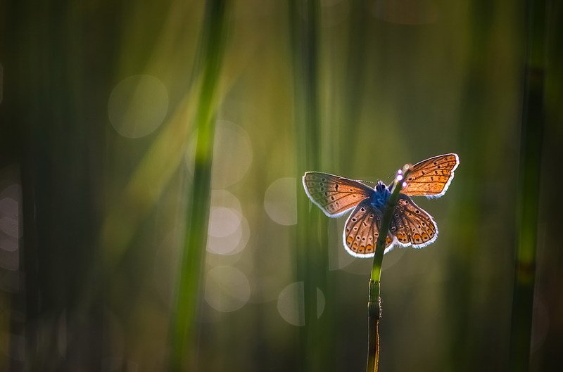 Утро нового дня фото превью