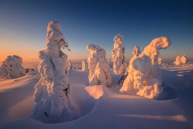Февральские снежники. фото превью