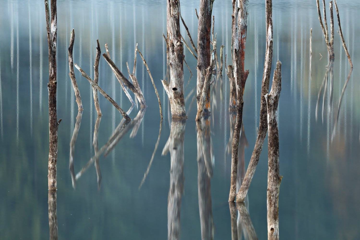 autumn, lake, trees, abstract, reflection, romania, water, landscape, nature, travel, cuejdel, morning, fog, Lazar Ioan Ovidiu