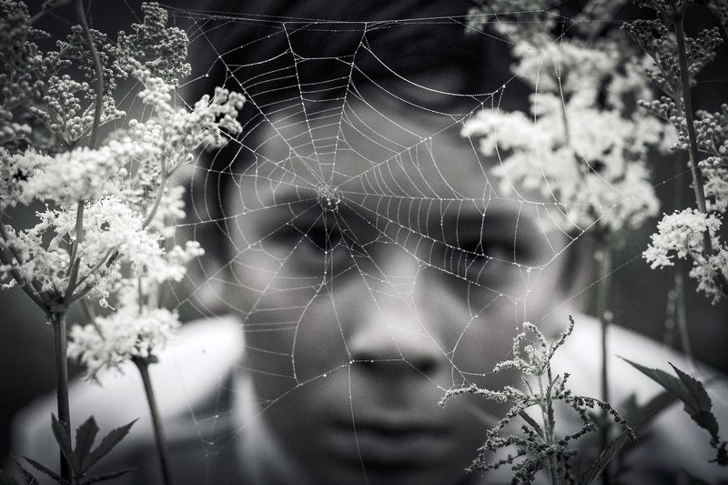 ... фото превью