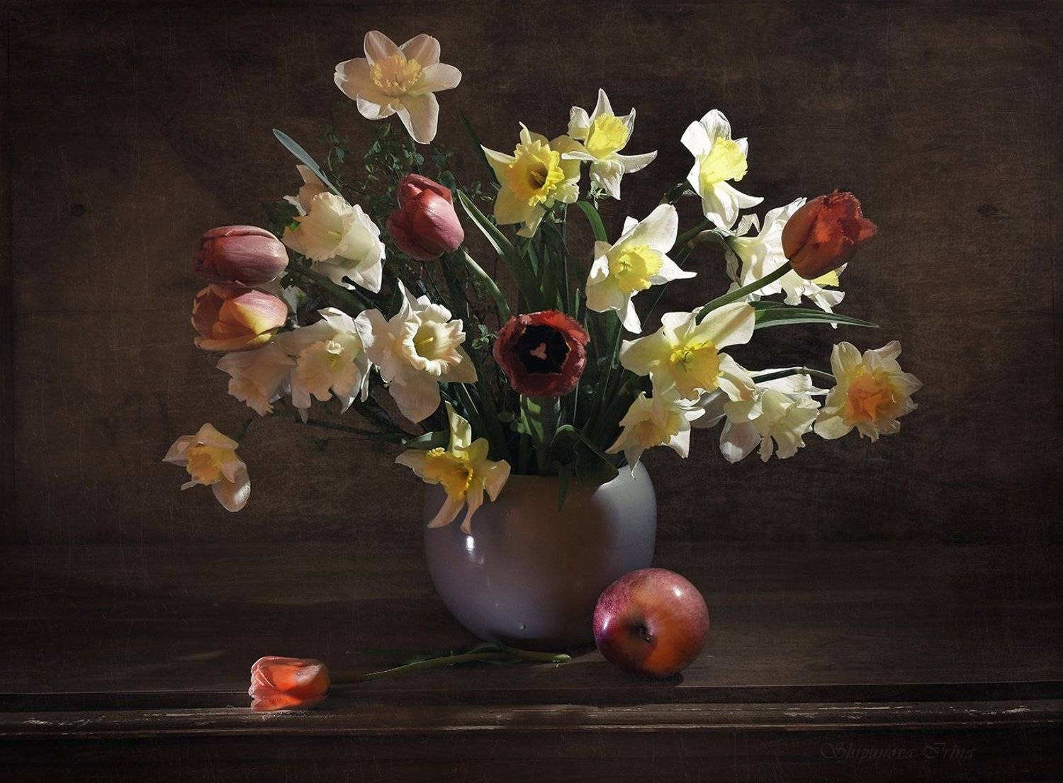 , Шипунова Ирина