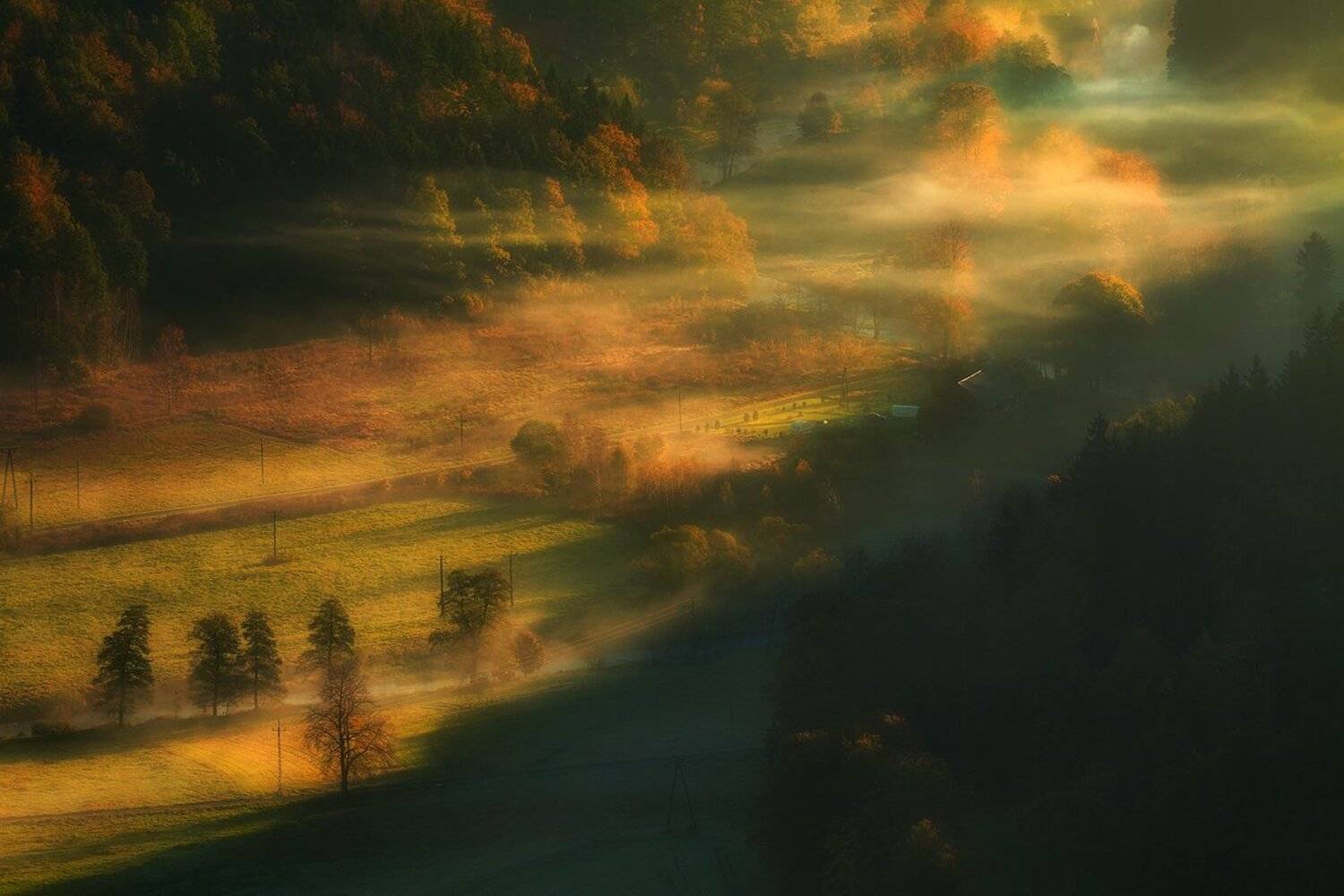 landscape,canon,mist,light,autumn, Iza i Darek Mitręga