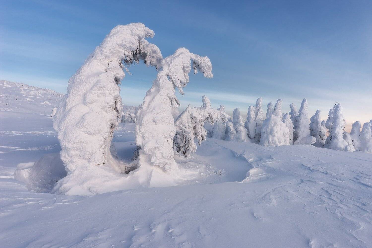 , Михаил Туркеев