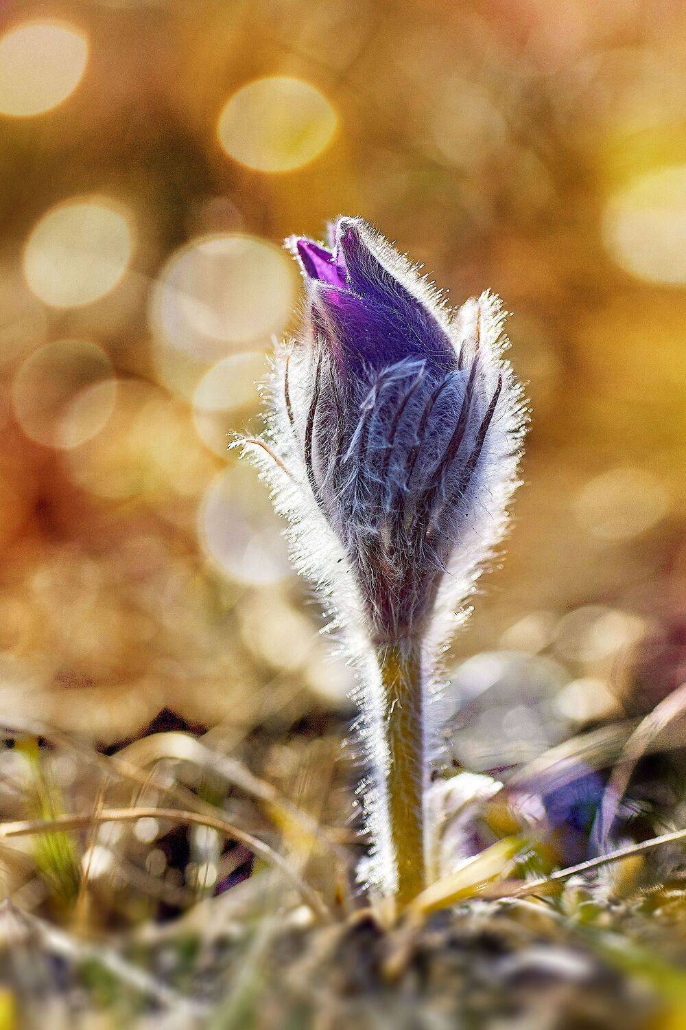 башкирия, южный урал, урал, орск, новотроицк, талкас, гадельша, сибай, зилаир. баймак, юлдыбаево, озеро талкас, водопад, водопад гаделша, пейзаж, лето, осень, качурин, зима, весна, ковыль, Качурин Алексей
