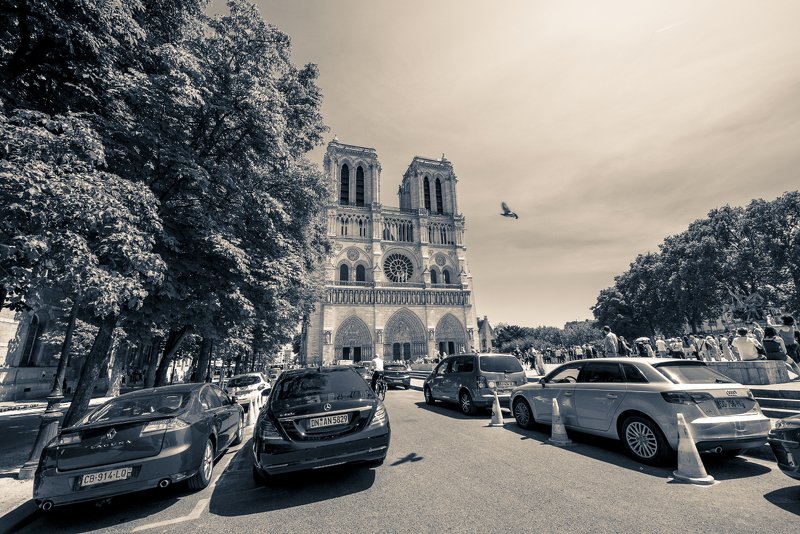 париж, notredame, cобор парижской богоматери, пожар, prayfornotredame, Notre Dame (RIP) монохром фото превью