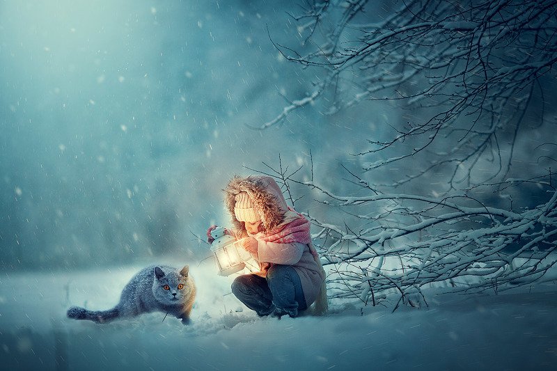 фото превью