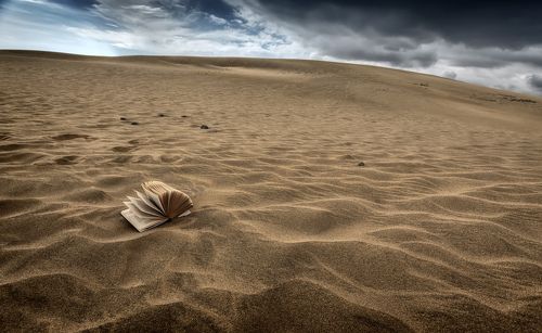 незаконченный роман