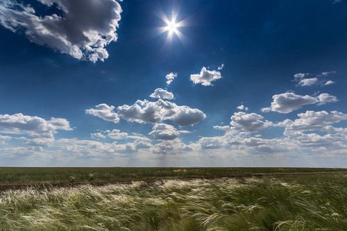 Ковыльная