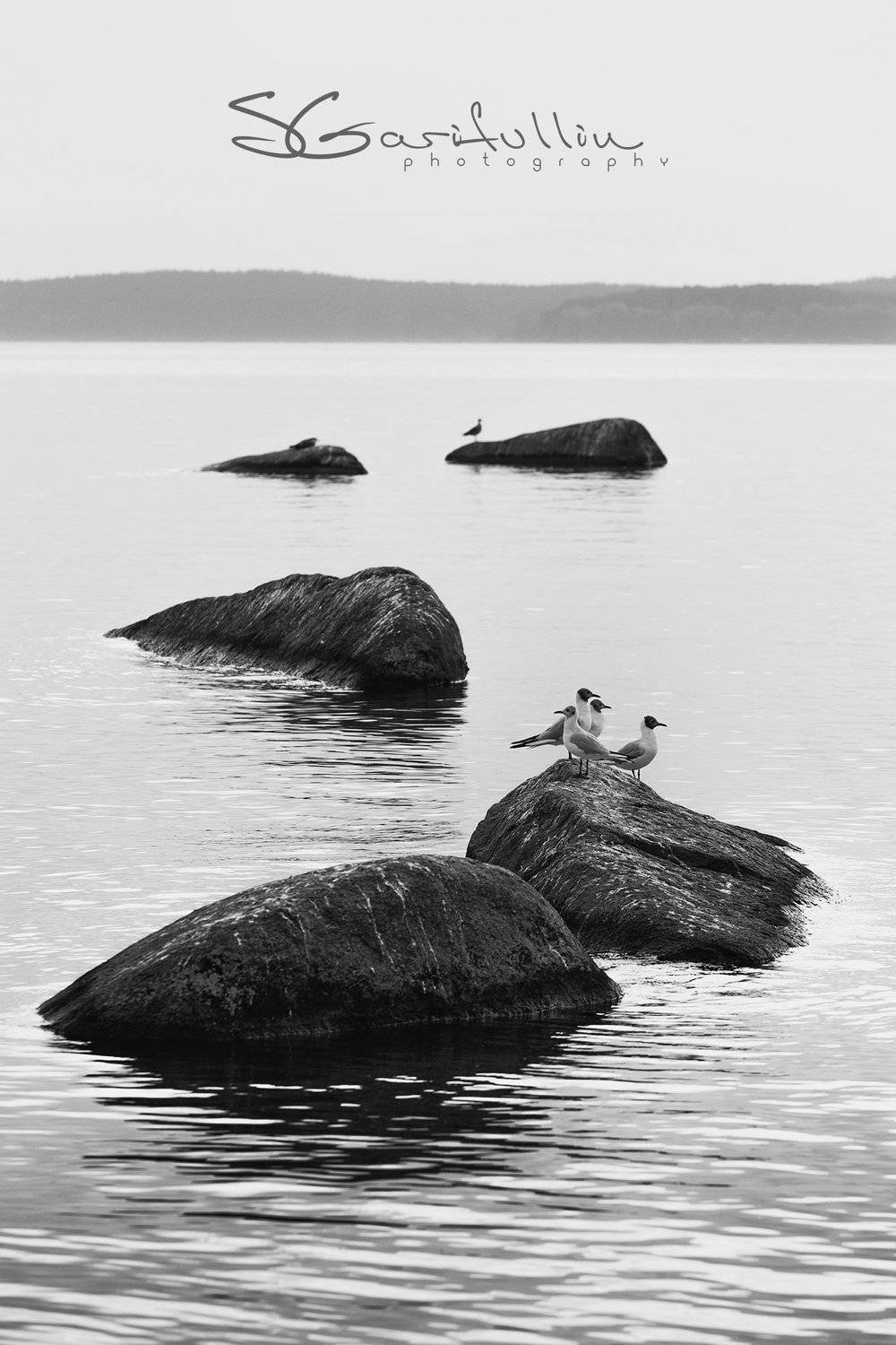  Верх-Исетский пруд, Екатеринбург, чб, Сергей Гарифуллин