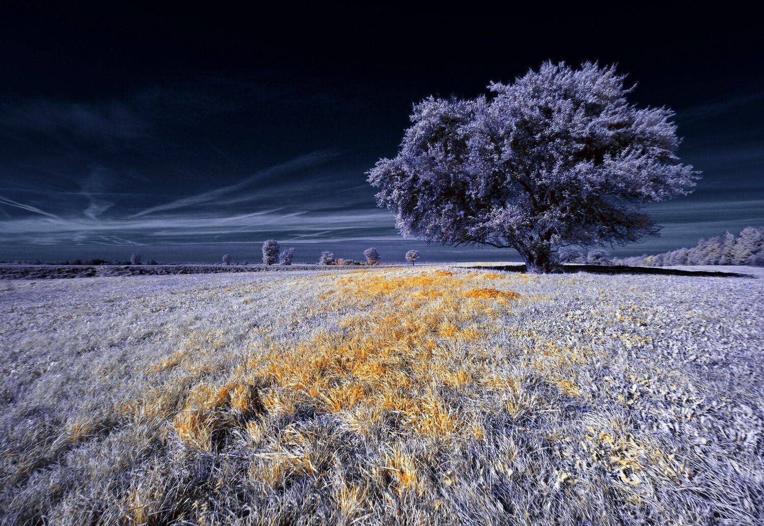 infrared,ик-фото,инфракрасное фото, инфракрасная фотография, пейзаж, осень, беларусь, Sixten ( Сергей )