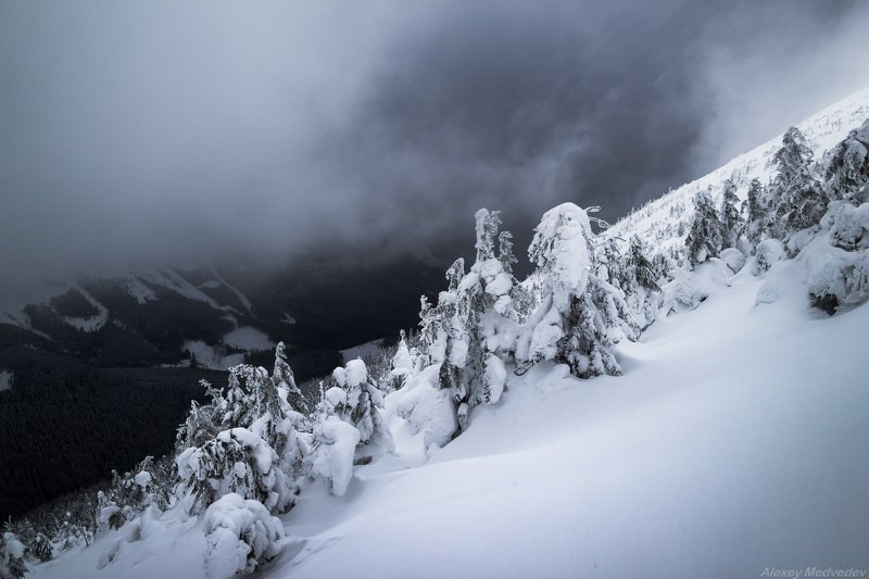 карпаты, украина  фото превью