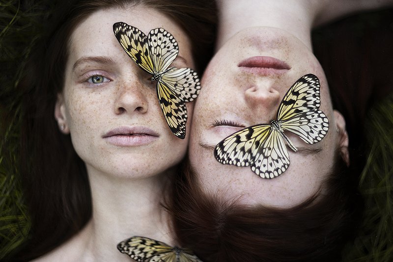 Metamorphosis фото превью