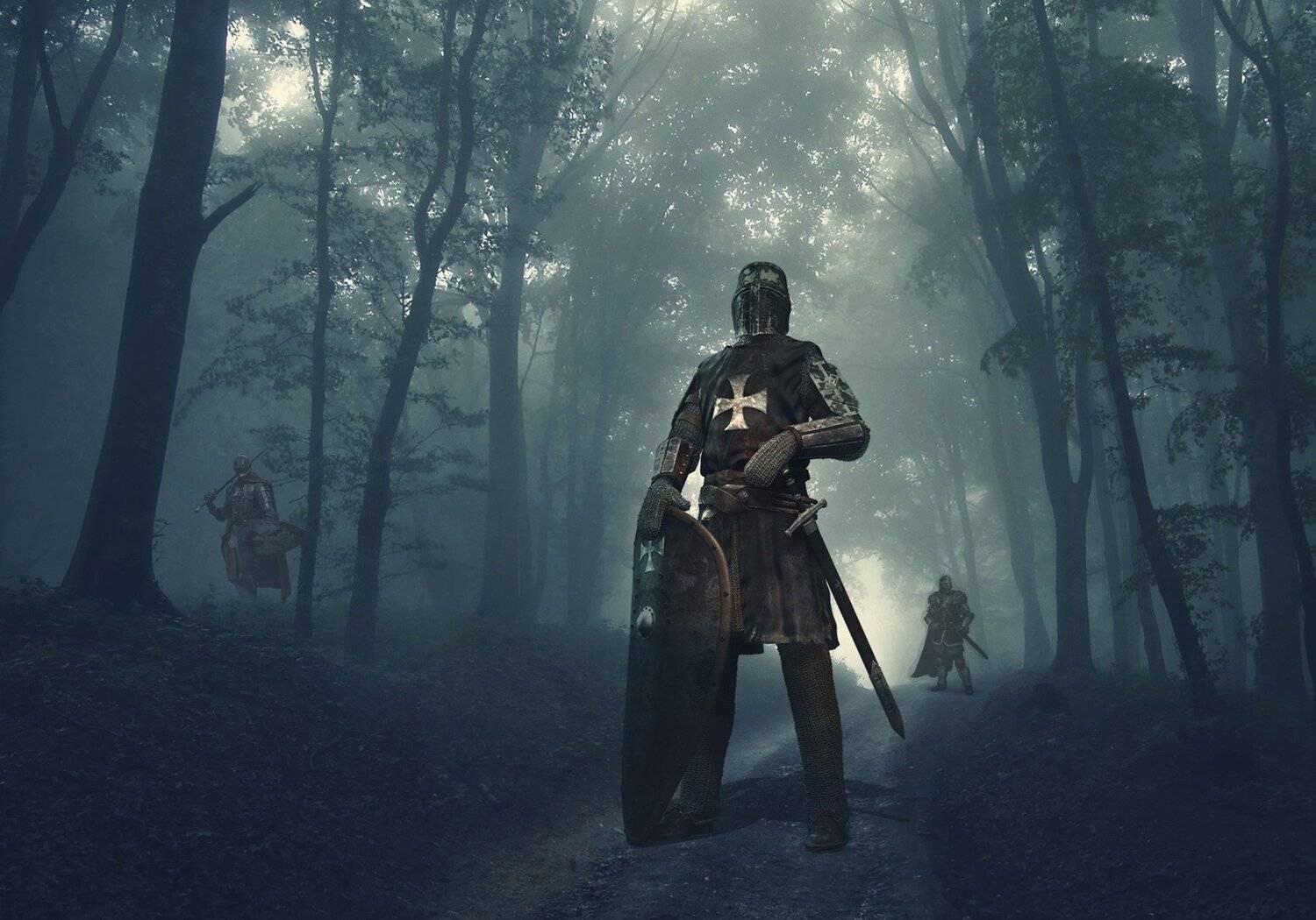 лес, утро, туман, рыцарь, Sergii Vidov