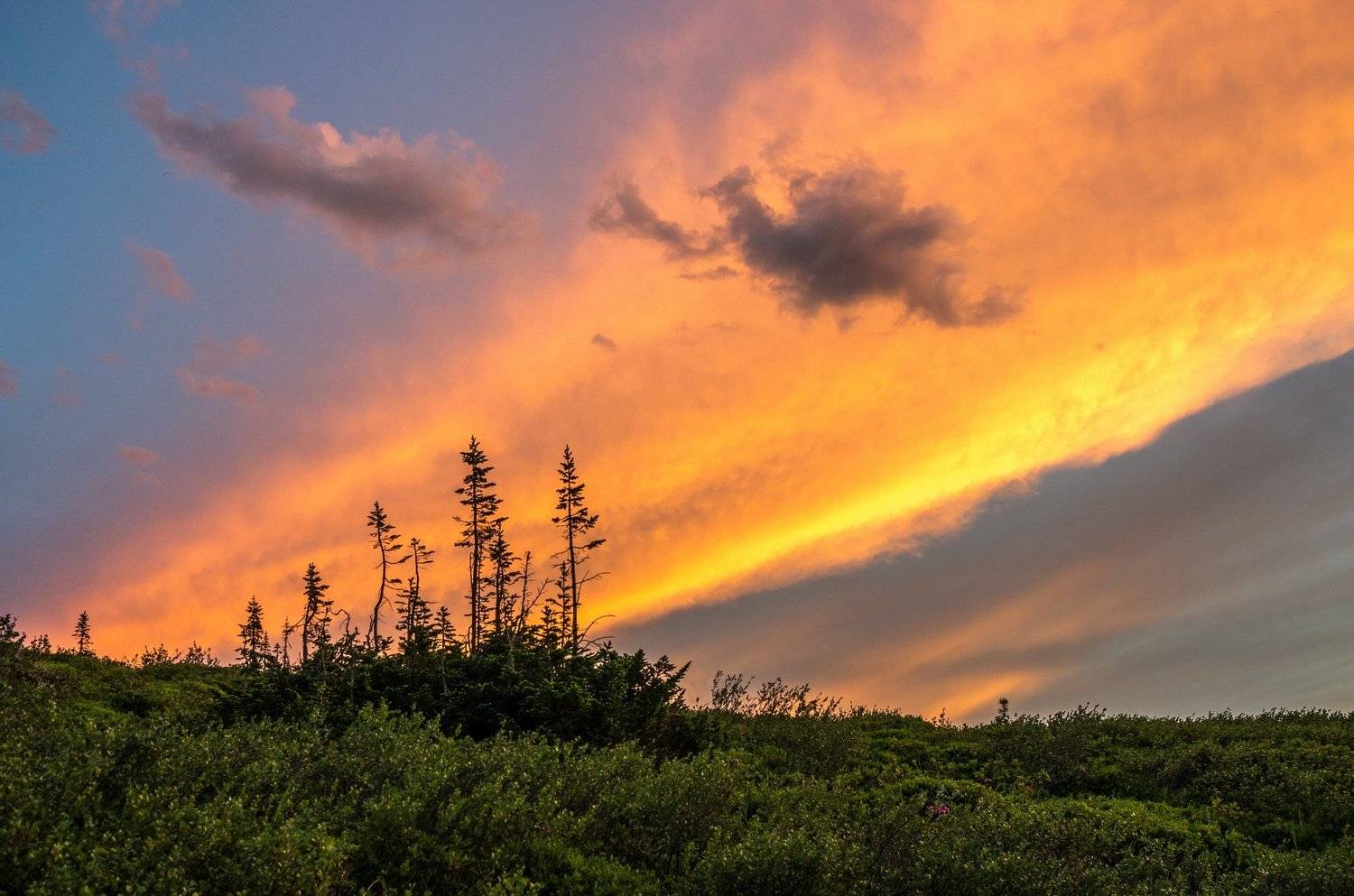 горы, сибирь, саяны, западный саян, ергаки, закат, ник васильев, зарево, Николай Васильев