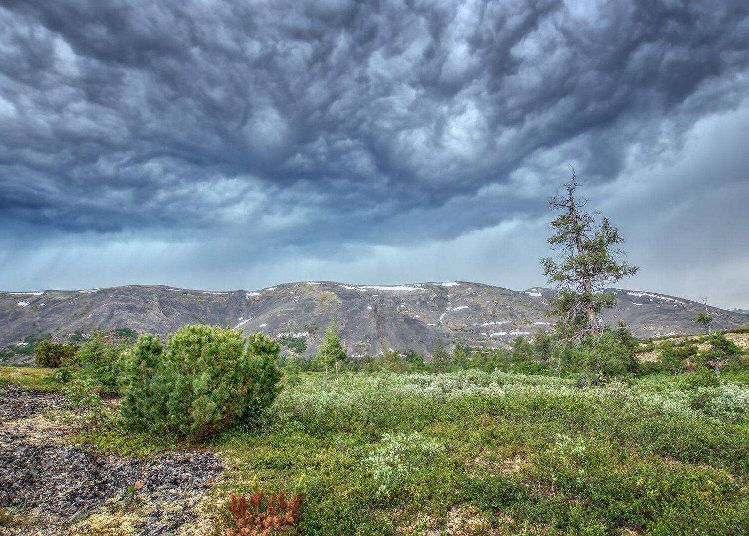 , Николай Андреев