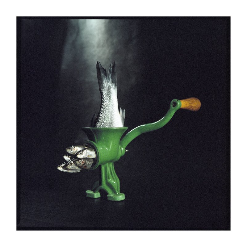 Film, analogue, art, fish, miracles, ironic, series, surrealism Maxina Ex Deo (Triptych) фото превью