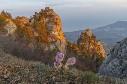 Апрель на Демерджи.