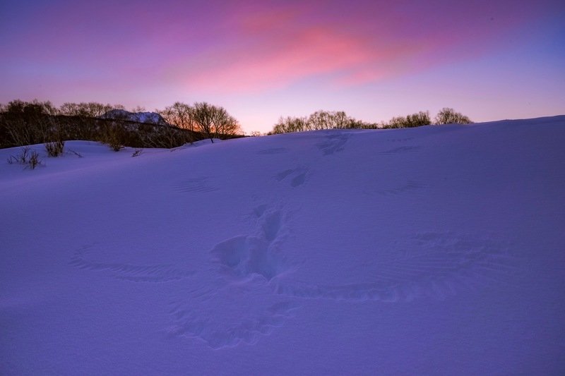 закат Следы взлёта. фото превью